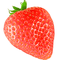 Erdbeeren 1 ico 1